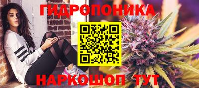 ПСИЛОЦИБИНОВЫЕ ГРИБЫ Коммунар