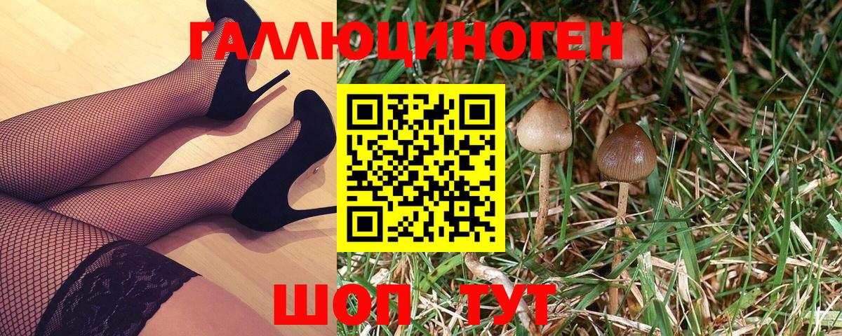 Галлюциногенные грибы Psilocybine cubensis  Вход с VPN  Алапаевск 
