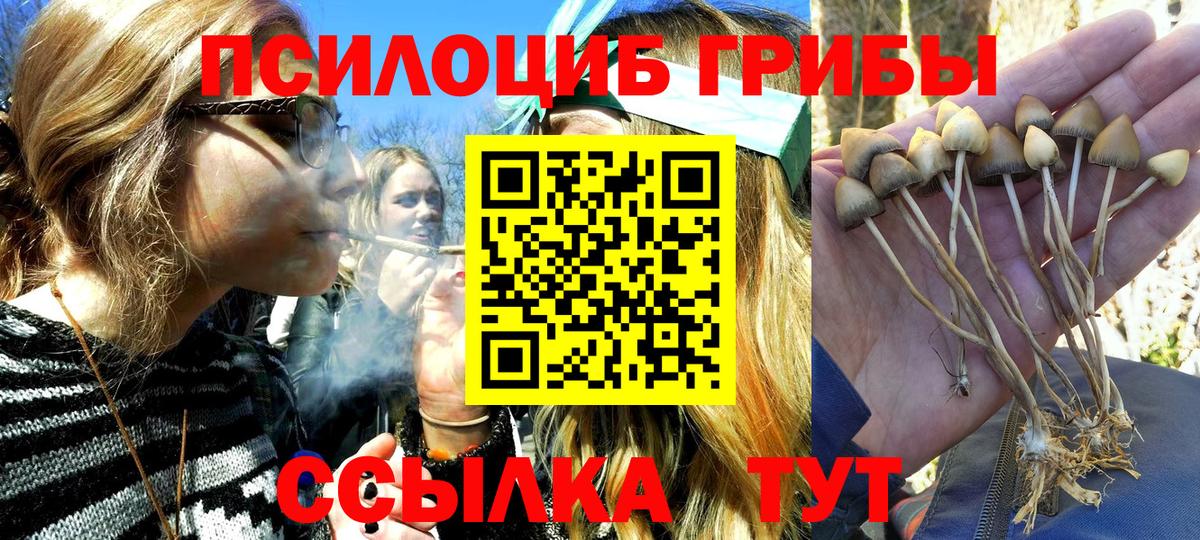 Галлюциногенные грибы ЛСД Алапаевск